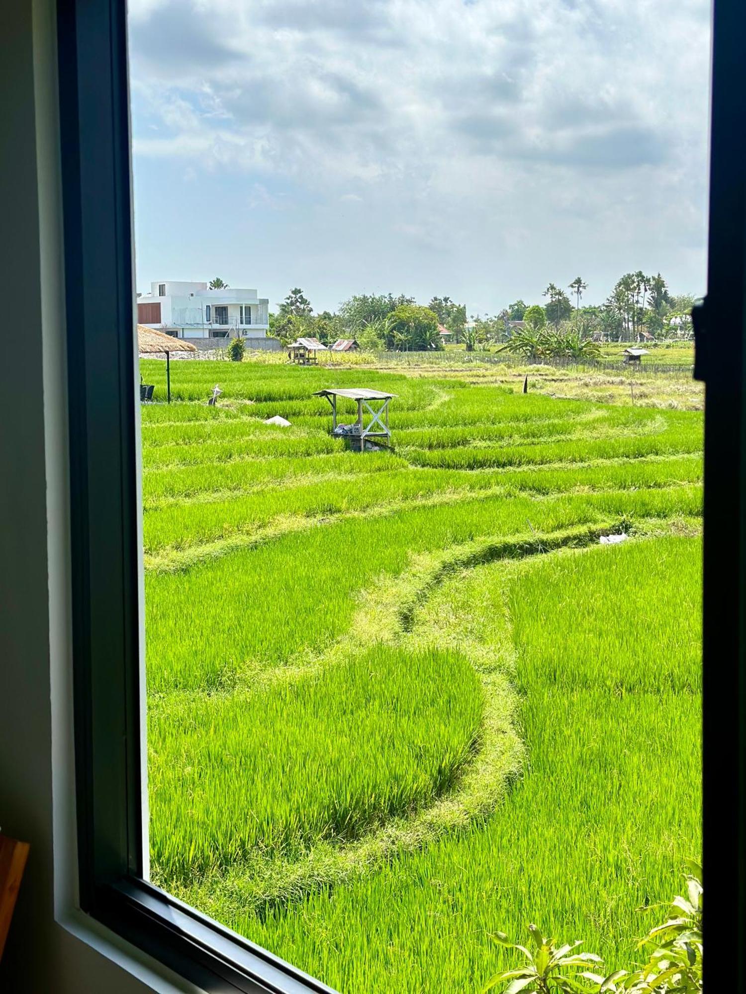 Villa In Seminyak Villa Mitra Dua Ricefield View Relax Kerobokan  Exterior photo